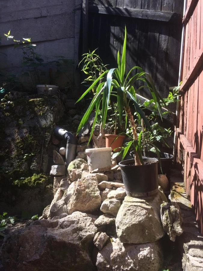 Casa Adrian Camere Centru Vechi Braşov Exterior foto